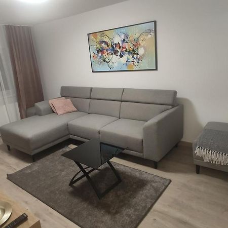 Popasu Din Oras Apartment Baia Mare Ngoại thất bức ảnh