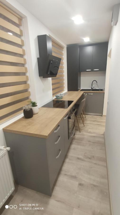 Popasu Din Oras Apartment Baia Mare Ngoại thất bức ảnh
