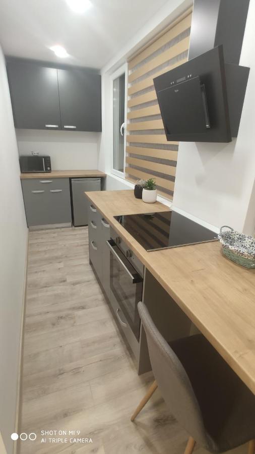 Popasu Din Oras Apartment Baia Mare Ngoại thất bức ảnh